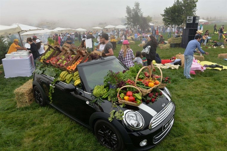 Mini Pop-Up Picnic 2015